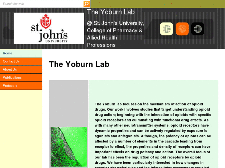 www.yoburnlab.org