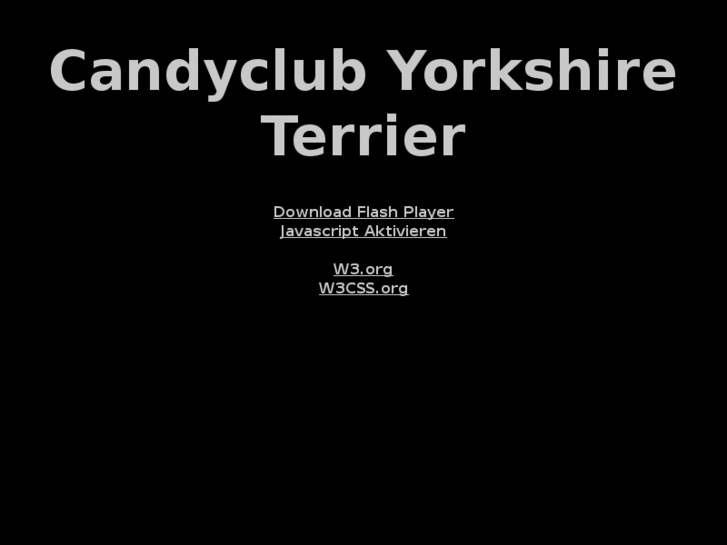 www.candyclub-yorkie.com