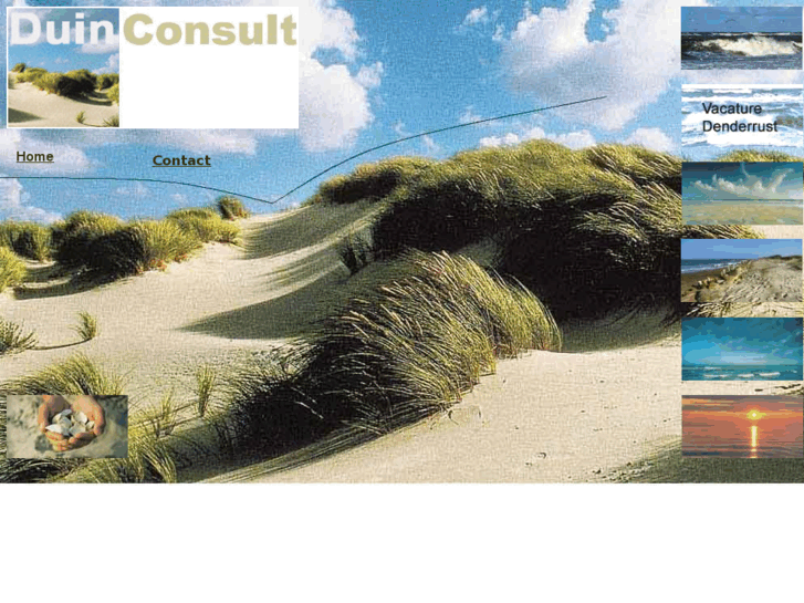 www.duinconsult.com