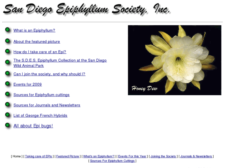 www.epiphyllum.com