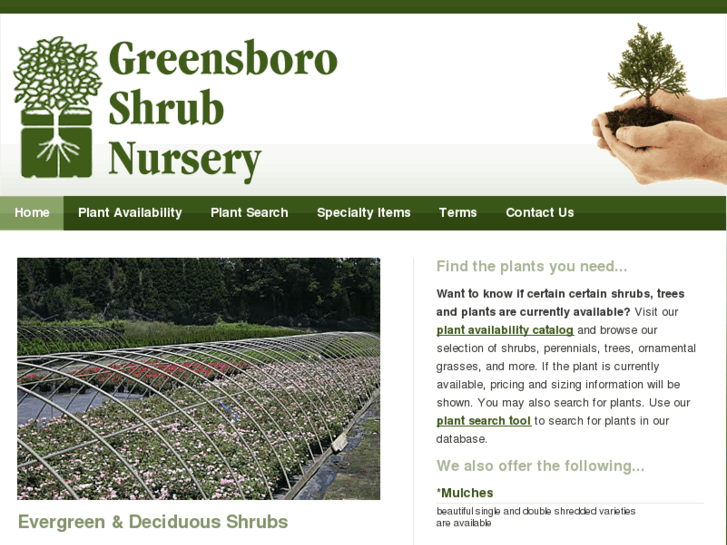 www.gsoshrub.com