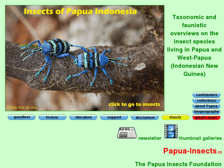 www.papua-insects.nl