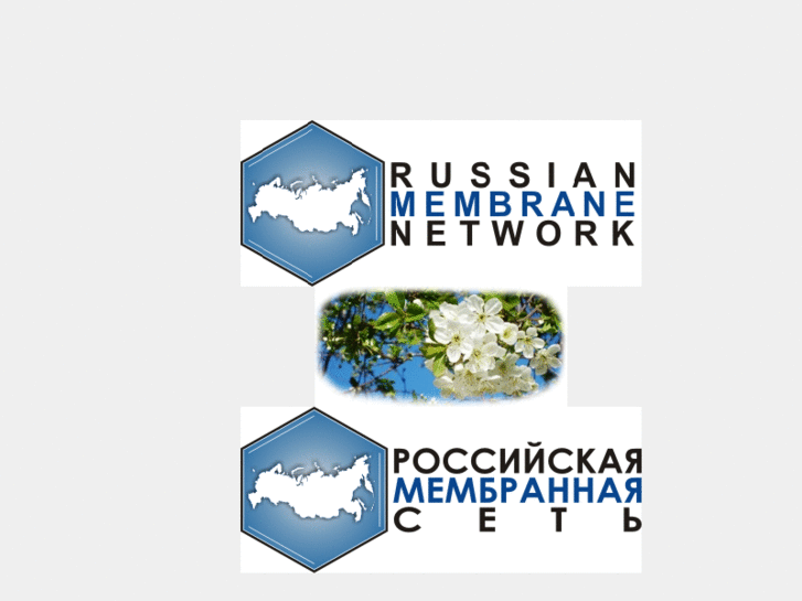 www.rusmembrane.net