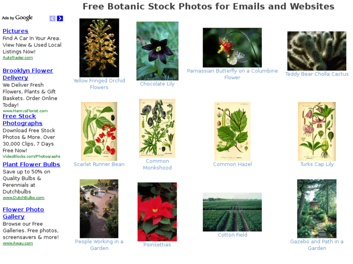 www.stockphotobotanic.com