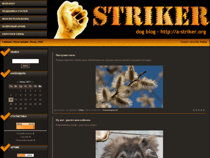 www.a-striker.org