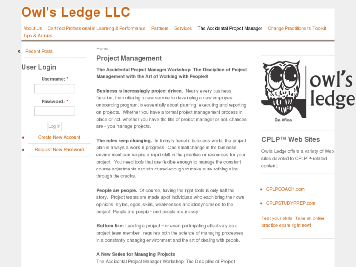 www.accidentalprojectmanager.com