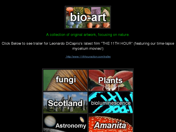 www.bioart.co.uk