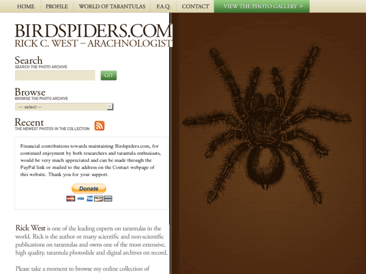 www.birdspiders.com