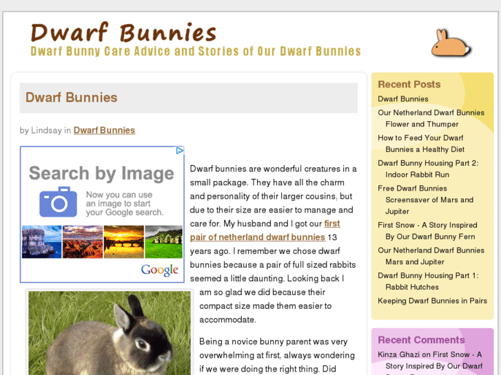 www.dwarfbunnies.org