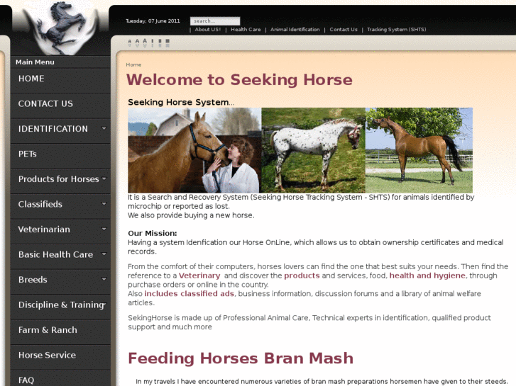 www.seekinghorse.com