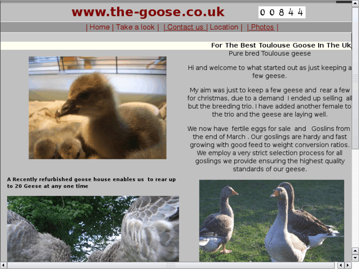 www.the-goose.co.uk