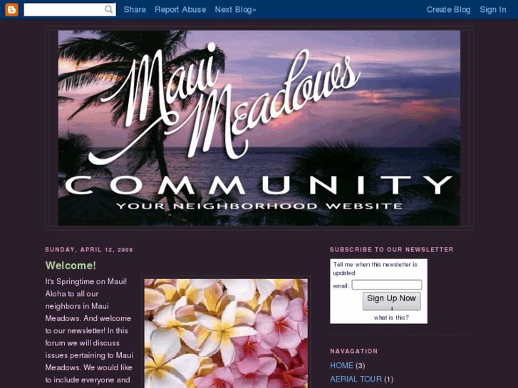 www.mauimeadowscommunity.org