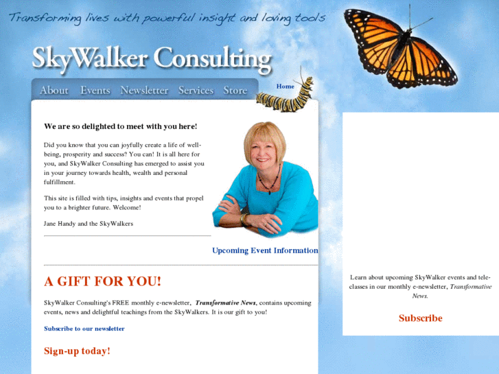 www.skywalkerconsulting.com