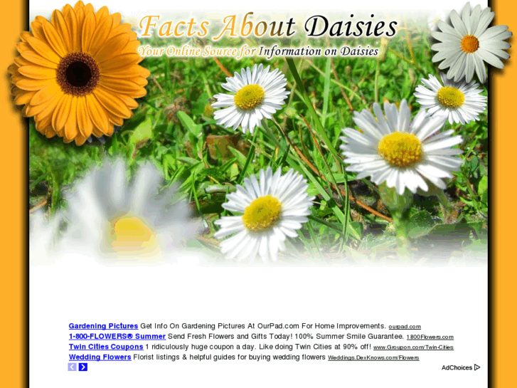 www.factsaboutdaisies.com