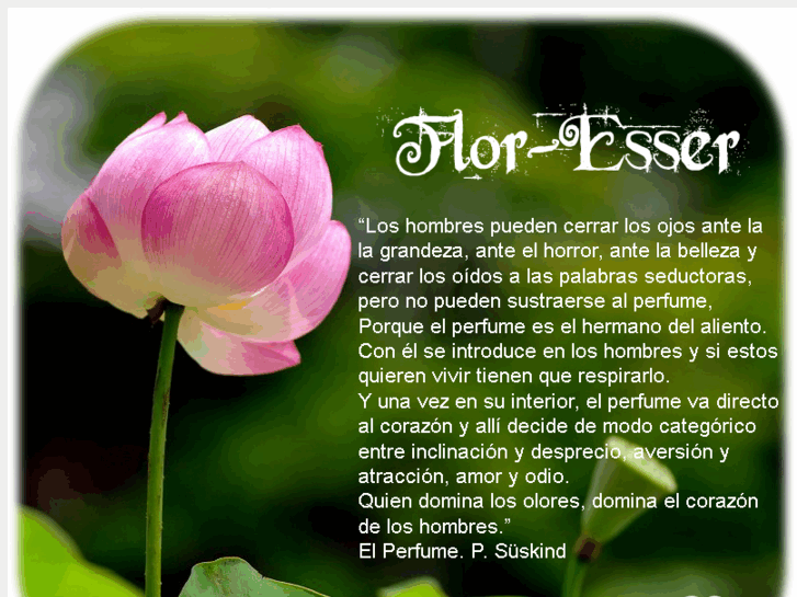 www.flor-esser.com