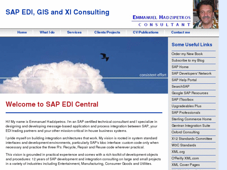 www.sap-idoc2edi-consulting.com