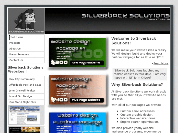 www.silverbacksolutions.com