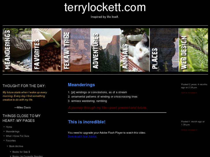 www.terrylockett.com