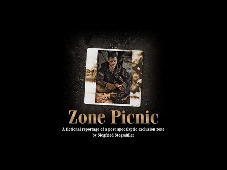 www.zonepicnic.com