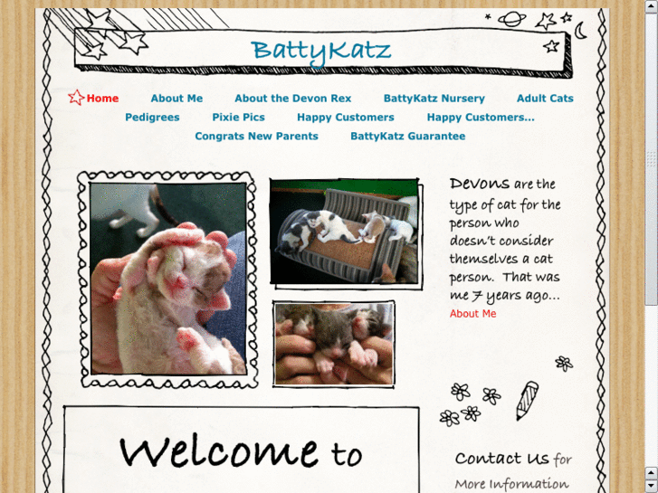 www.battykatz.com