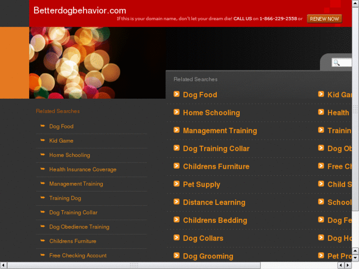 www.betterdogbehavior.com