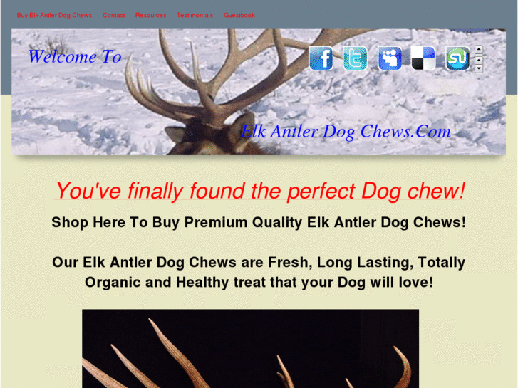 www.elkantlerdogchews.com