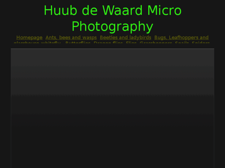 www.huubdewaardmacros.com