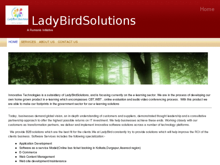 www.ladybirdsolutions.com