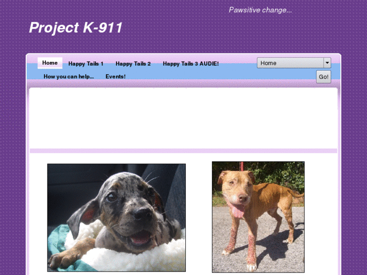 www.project-k-911.org