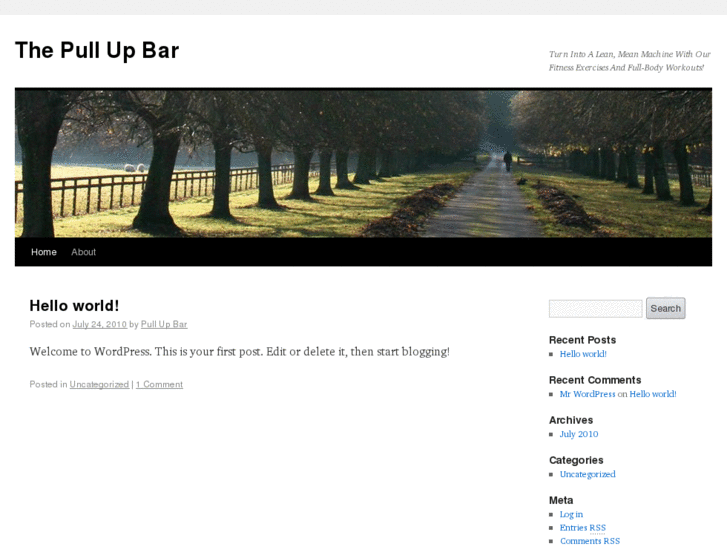 www.thepullupbar.org