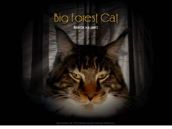 www.bigforestcat.com