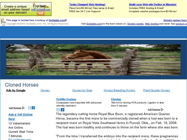 www.clonedhorses.com