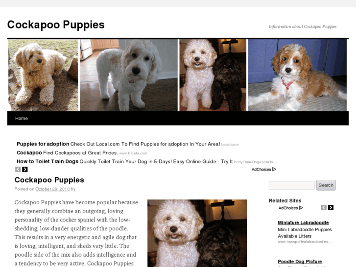 www.cockapoopuppies.net