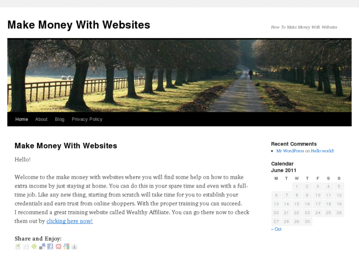 www.make-money-with-websites.com