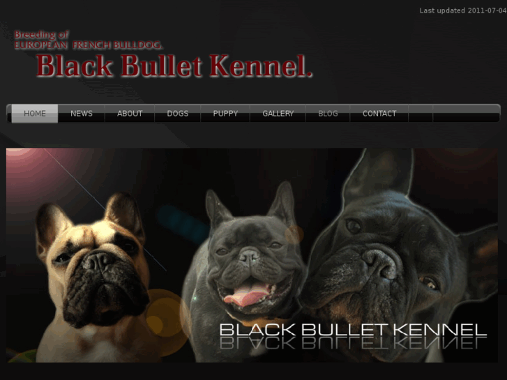 www.blackbullet.jp