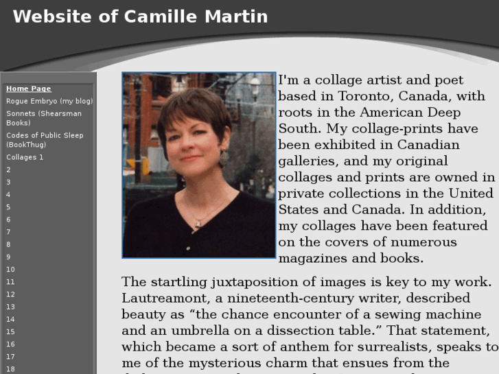 www.camillemartin.ca
