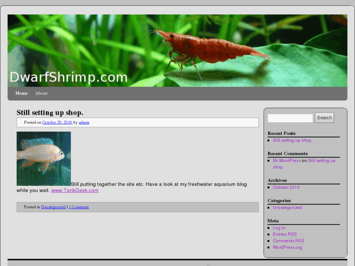 www.dwarfshrimp.com