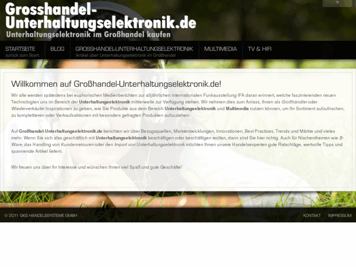 www.grosshandel-unterhaltungselektronik.de