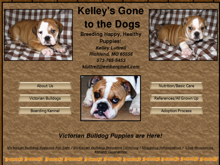 www.kelleysgonetothedogs.com