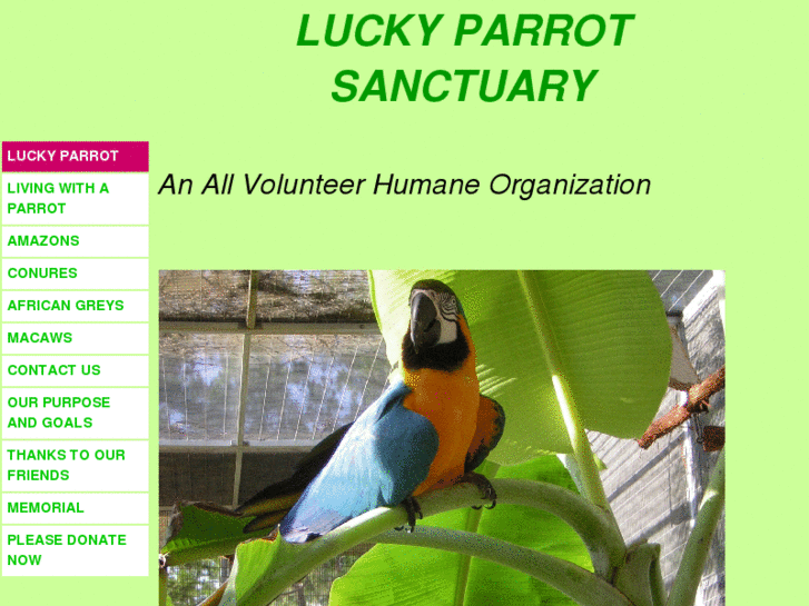 www.luckyparrot.org