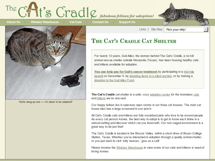 www.thecatscradle.net