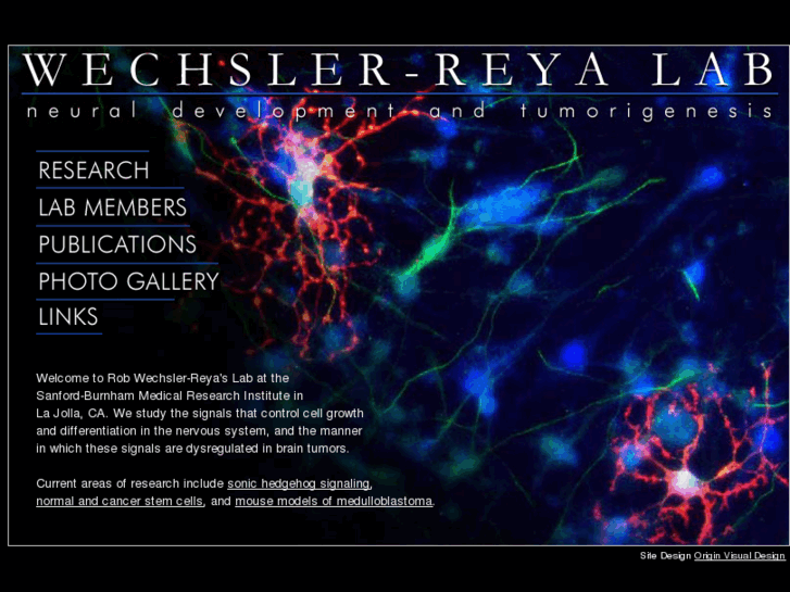 www.wechsler-reya.org