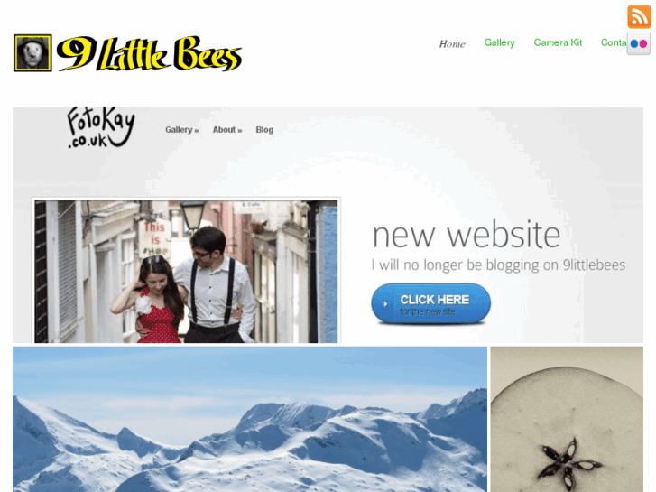 www.9littlebees.com