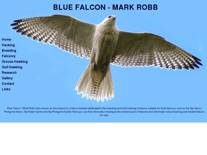 www.gyrfalcons.co.uk