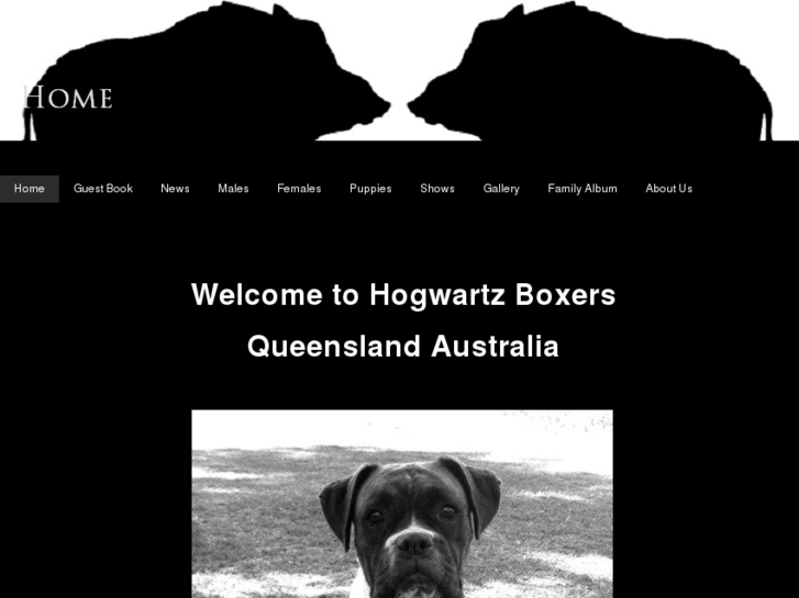 www.hogwartzboxers.com