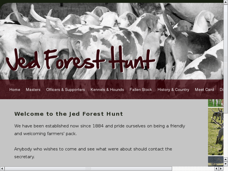 www.jedforesthunt.com