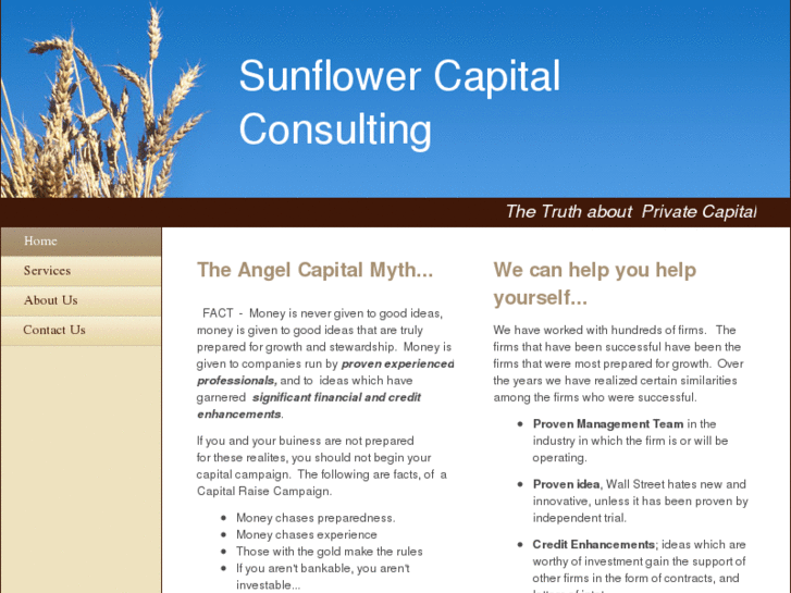 www.sunflowercapitalconsulting.com