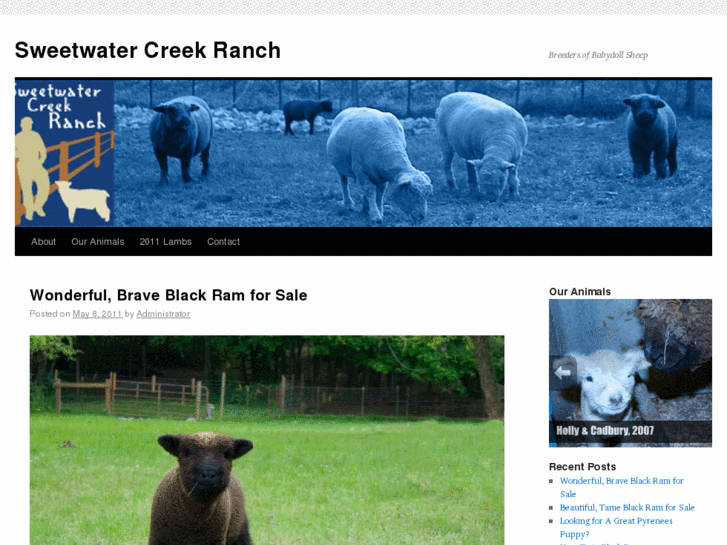 www.sweetwatercreekranchga.com