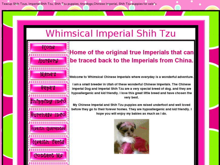 www.teacupshihtzus.com