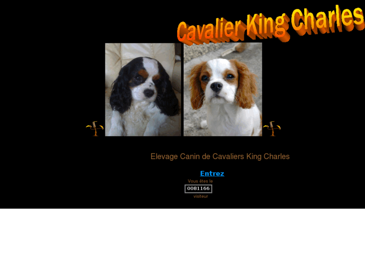 www.cavalierkingcharles.biz